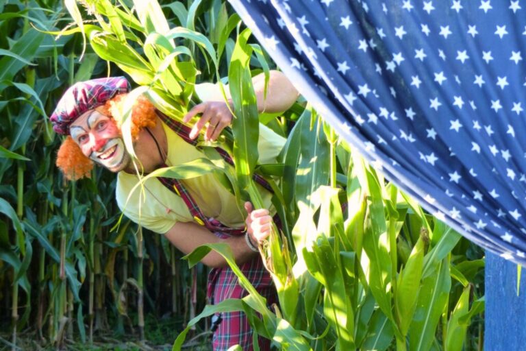 L'Aven Parc l'été fait son cirque !