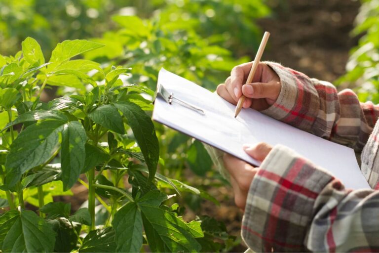 Ateliers pédagogiques : atelier mes 5 sens au jardin. Aven Parc, parc de loisirs dans le Finistère