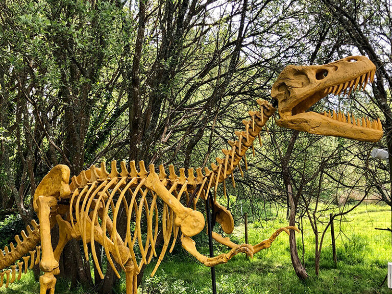 Dino parc, à l'Aven Parc, parc de loisirs en Bretagne