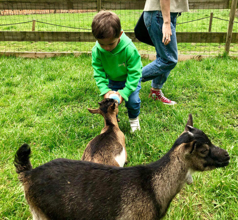 Aven Parc, parc de loisirs en Bretagne, la Ferme pédagogique, le circuit des petits fermiers