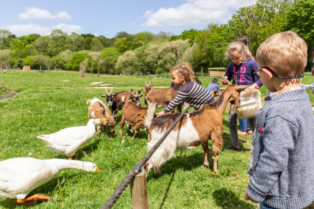 Ateliers pédagogiques au parc Aven Parc : éveil des enfants